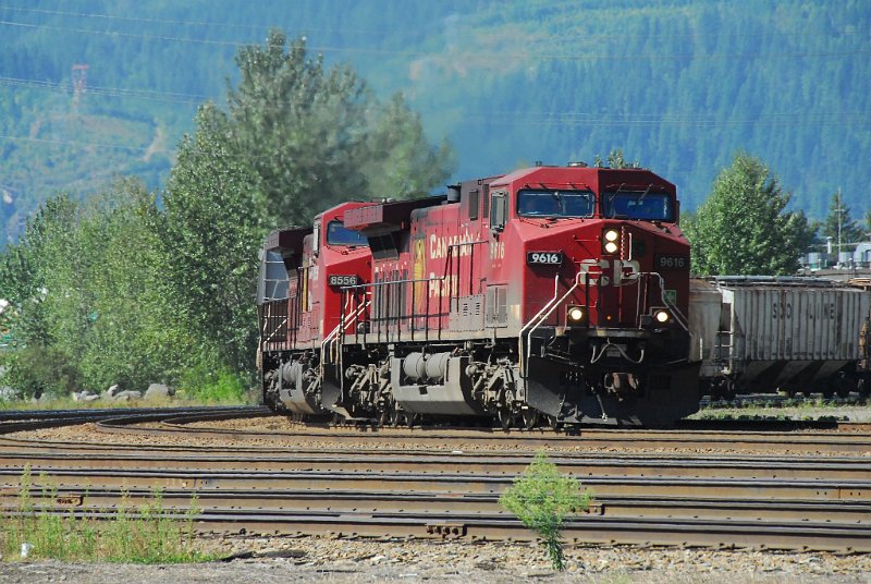 DSC_4249.JPG