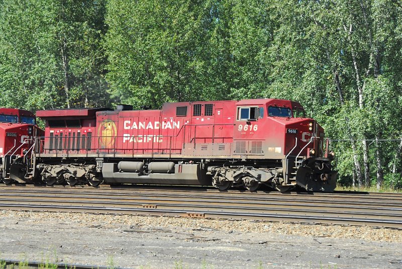 DSC_4250.JPG