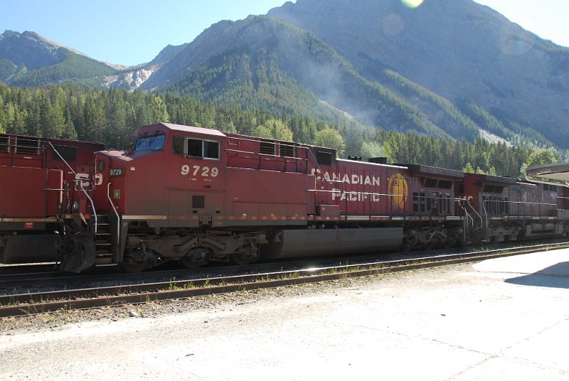 DSC_7232.JPG