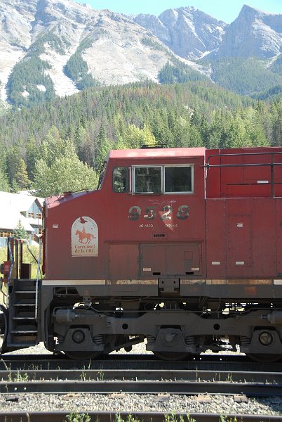 DSC_7240.JPG