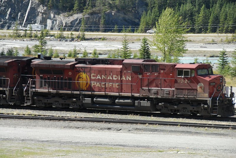 DSC_7243.JPG