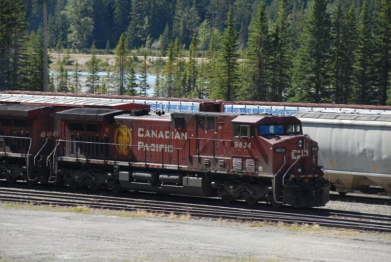 DSC_7244.JPG