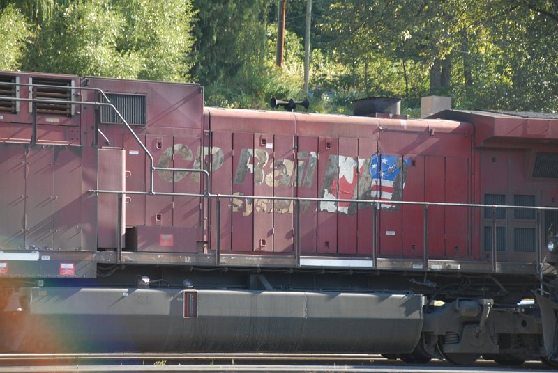 DSC_7378.JPG