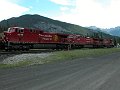 CP9815_3