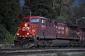 DSC_3559