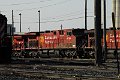 DSC_3802