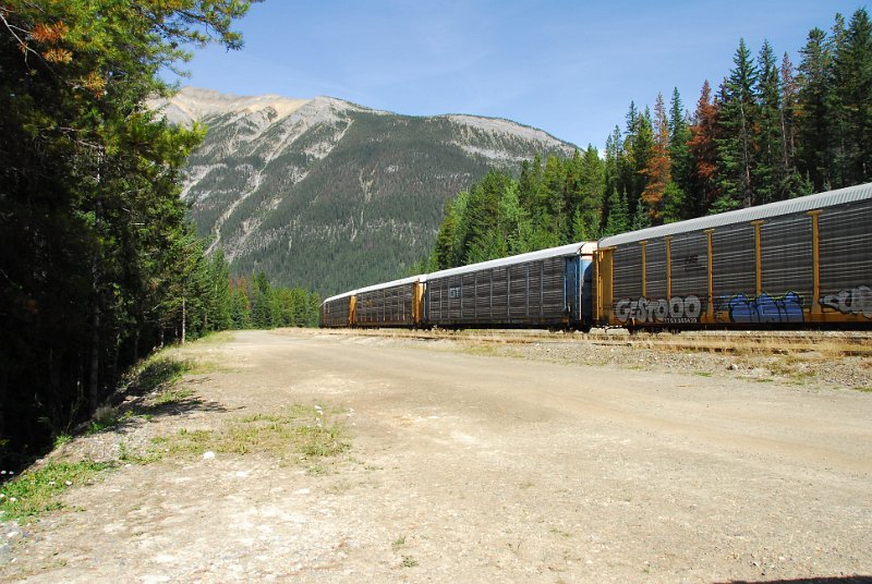 DSC_4126.JPG