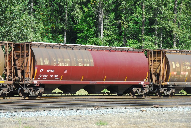 DSC_4253.JPG