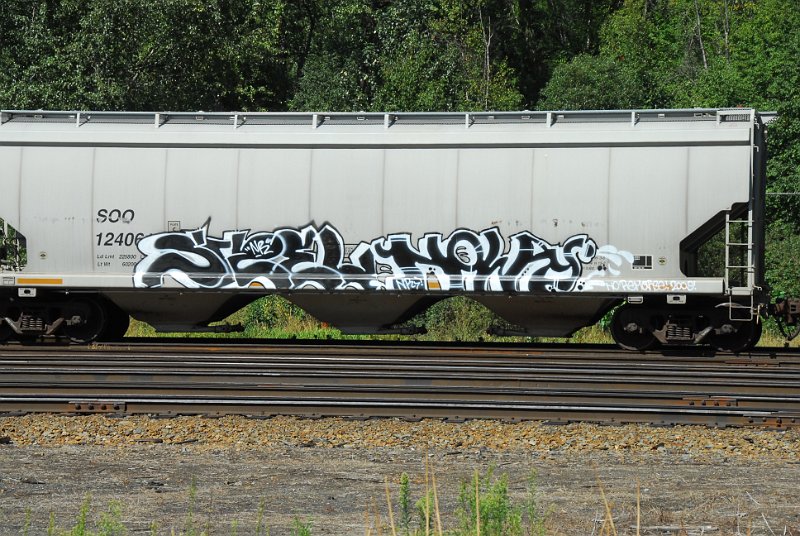 DSC_4255.JPG