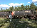 CP382919_1