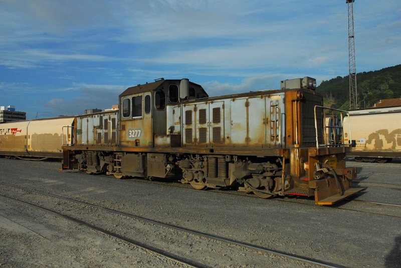 DSC_2718.JPG