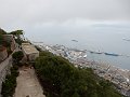 DSCN0643