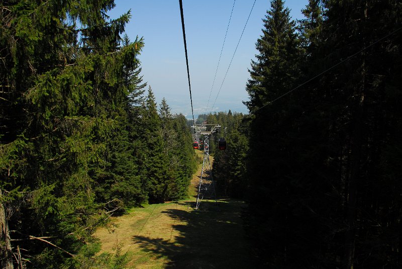 DSC_5966.JPG
