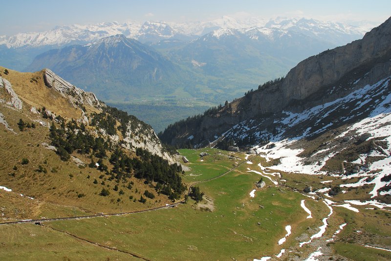 DSC_5982.JPG