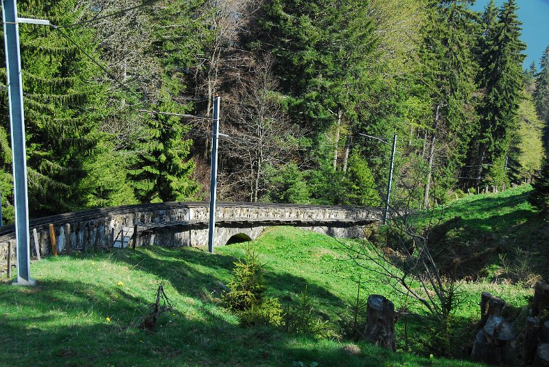 DSC_6000.JPG