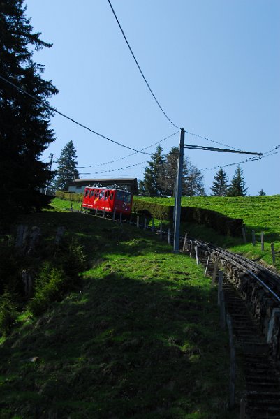 DSC_6003.JPG