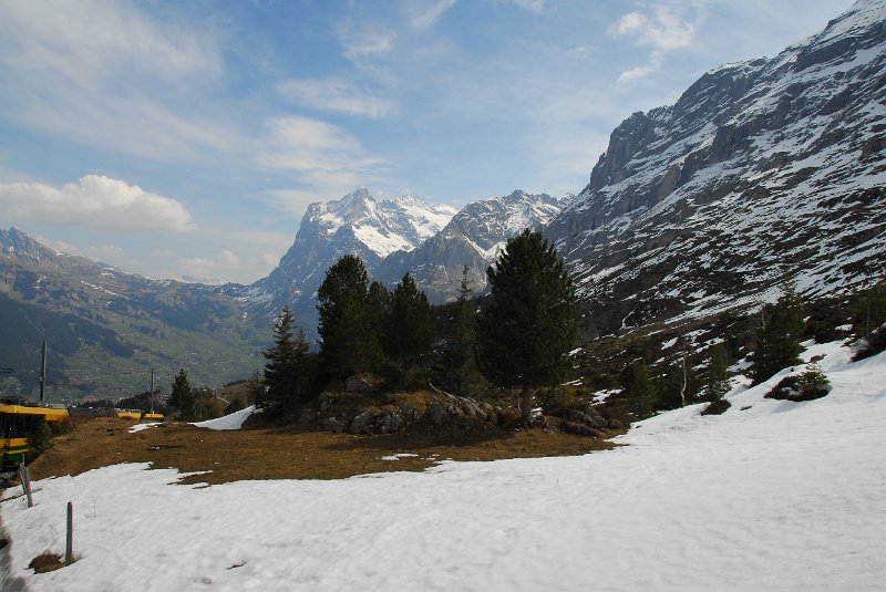 DSC_6019.JPG