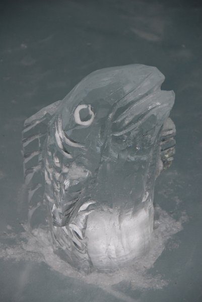 DSC_6041.JPG