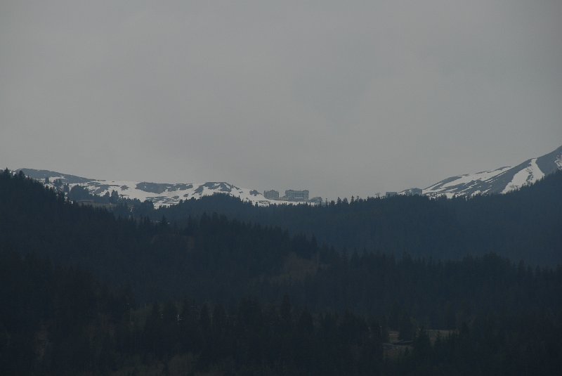 DSC_6085.JPG